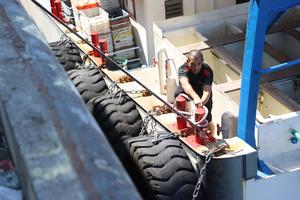 china-tifon-champi-preparacion-101002026102175000092