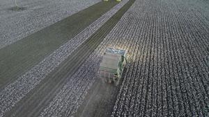 china-xinjiang-tecnologia-agricultores-expertos-in-101002026101575000245