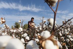china-xinjiang-tecnologia-agricultores-expertos-in-101002026101575000246