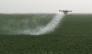 china-xinjiang-tecnologia-agricultores-expertos-in-101002026101575000247