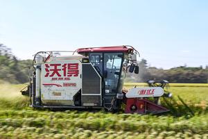 china-zhejiang-jiaxing-cosecha-de-arroz-101002026102875000315