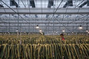 china-zhejiang-jinhua-agricultura-inteligente-parq-101002026102875000290