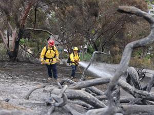 eeuu-california-incendios-forestales-rescate-101002026101875000104