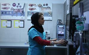 iran-teheran-primer-hospital-para-mascotas-101002026101475000134