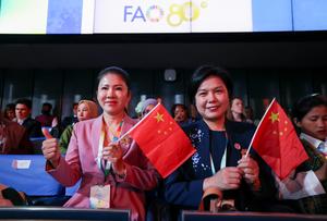 italia-roma-fao-dia-mundial-de-la-alimentacion-cer-101002026101675000479