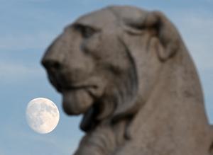italia-roma-luna-101002026102375000488