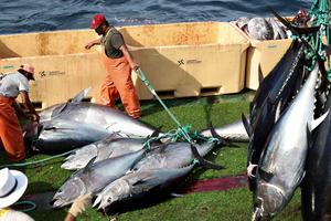 malta-china-pesca-101002026102575000496