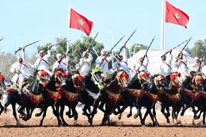 marruecos-el-jadida-salon-del-caballo-101002026101775000082