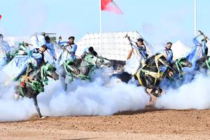 marruecos-el-jadida-salon-del-caballo-101002026101775000083