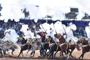 marruecos-el-jadida-salon-del-caballo-101002026101775000084