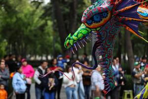 mexico-ciudad-de-mexico-desfile-de-alebrijes-101002026101775000305