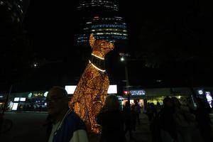 mexico-ciudad-de-mexico-dia-de-muertos-preparativo-101002026102475000372