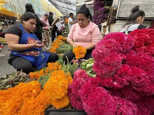 mexico-ciudad-de-mexico-dia-de-muertos-preparativo-101002026102475000393