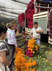 mexico-ciudad-de-mexico-dia-de-muertos-preparativo-101002026102475000398