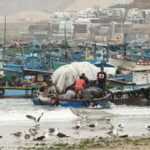 PERU-LIMA-PESCA (4/6)