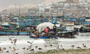 peru-lima-pesca-101002026102275000371
