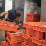 PERU-LIMA-PESCA (5/6)