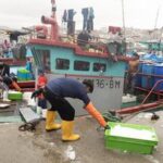PERU-LIMA-PESCA (3/6)
