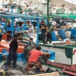 PERU-LIMA-PESCA (6/6)