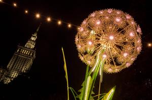 polonia-varsovia-jardin-de-luces-101002026101675000008