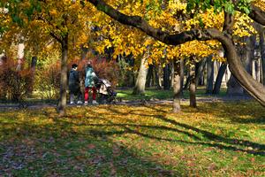 rusia-san-petersburgo-jardin-tauride-otono-101002026102775000476