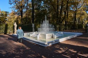 rusia-san-petersburgo-otono-paisaje-101002026101475000524
