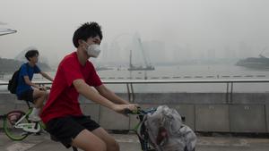 singapur-vida-cotidiana-bruma-101002026101575000240